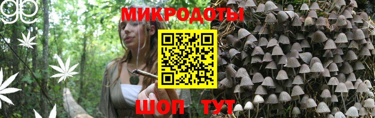 Камышлов  Галлюциногенные грибы прущие грибы  Псилоцибиновые грибы GOLDEN TEACHER  Вход с VPN 